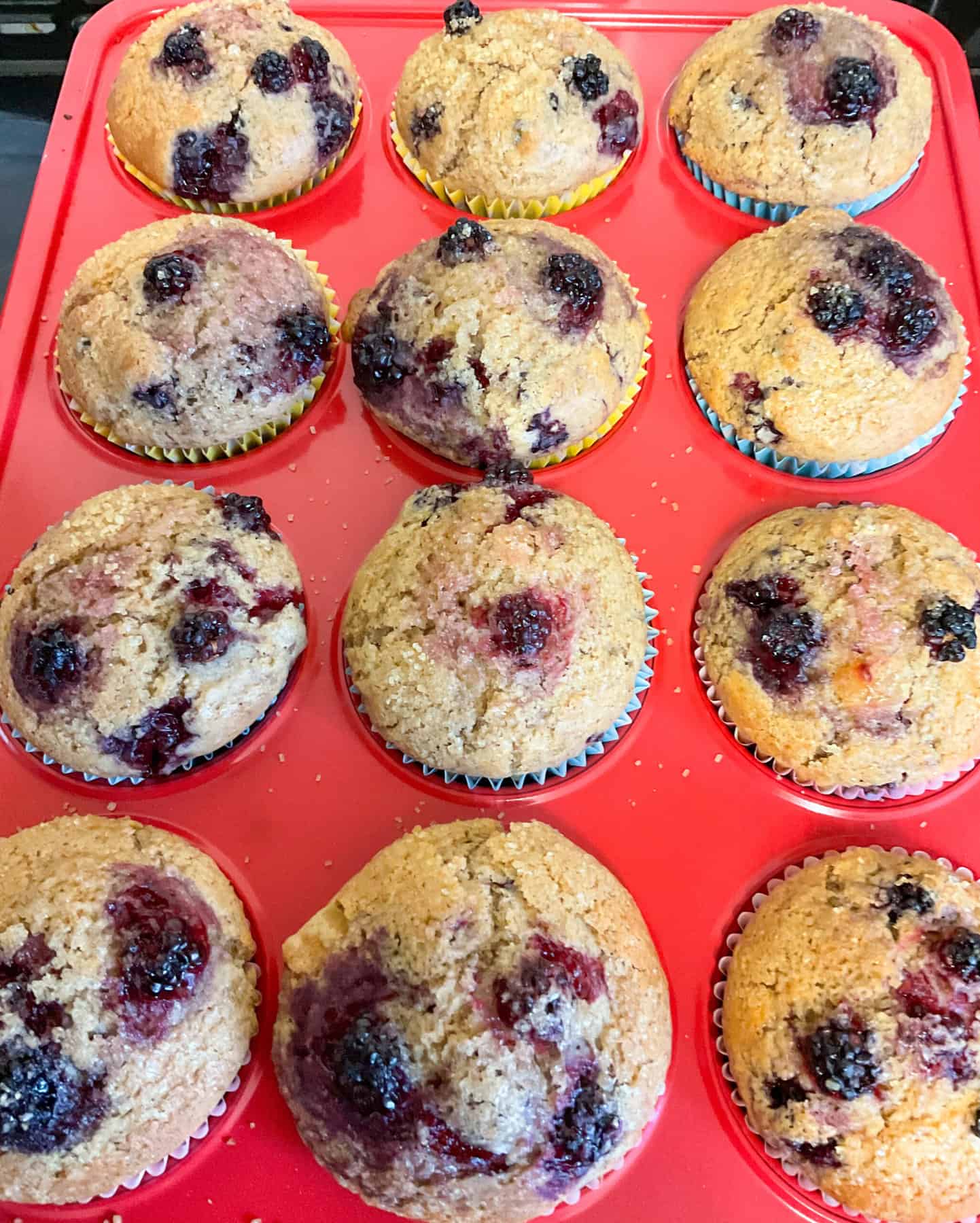 Bramble muffins baked and in muffin tray.