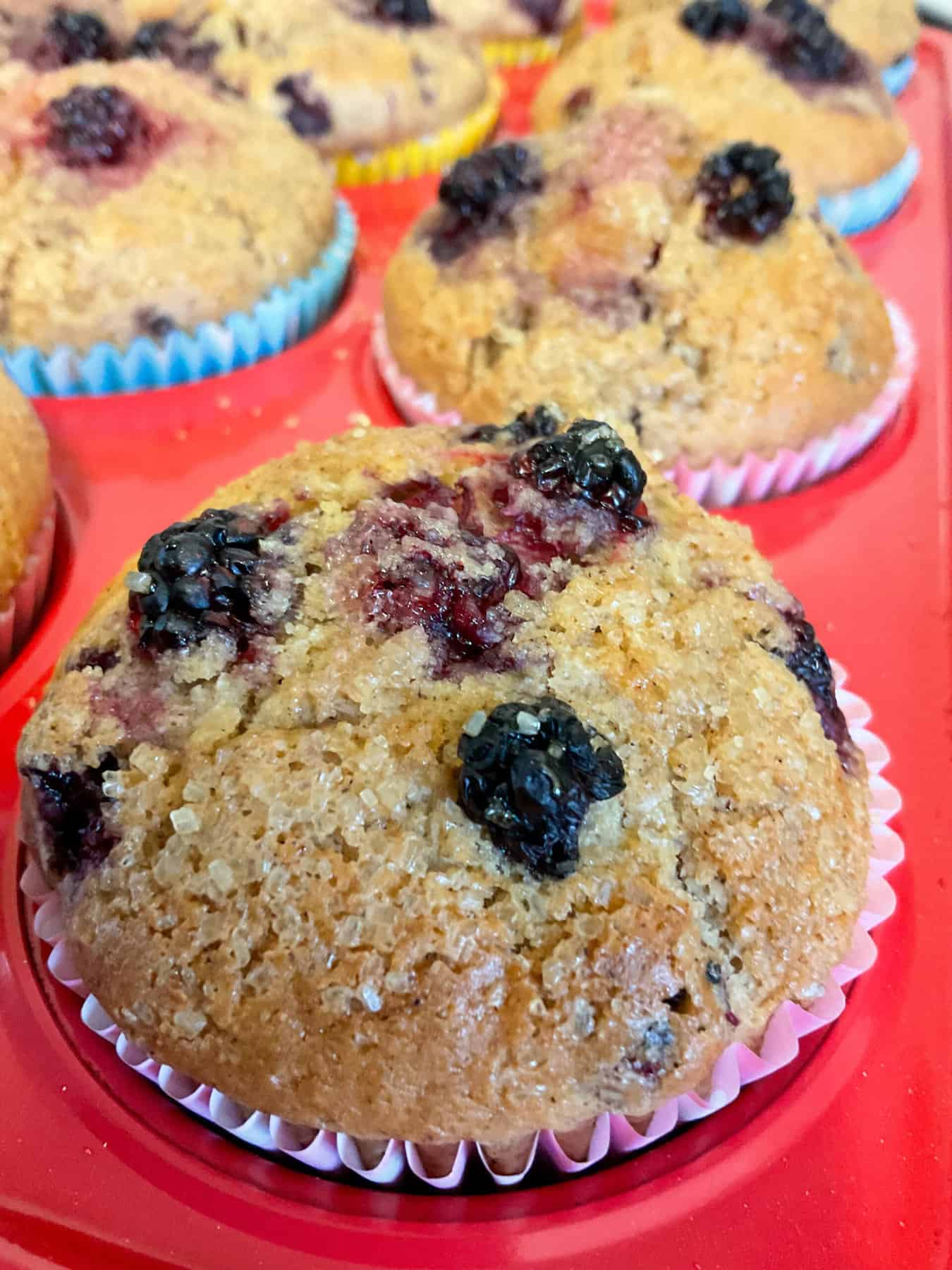 Close up baked bramble muffins in muffin tray.