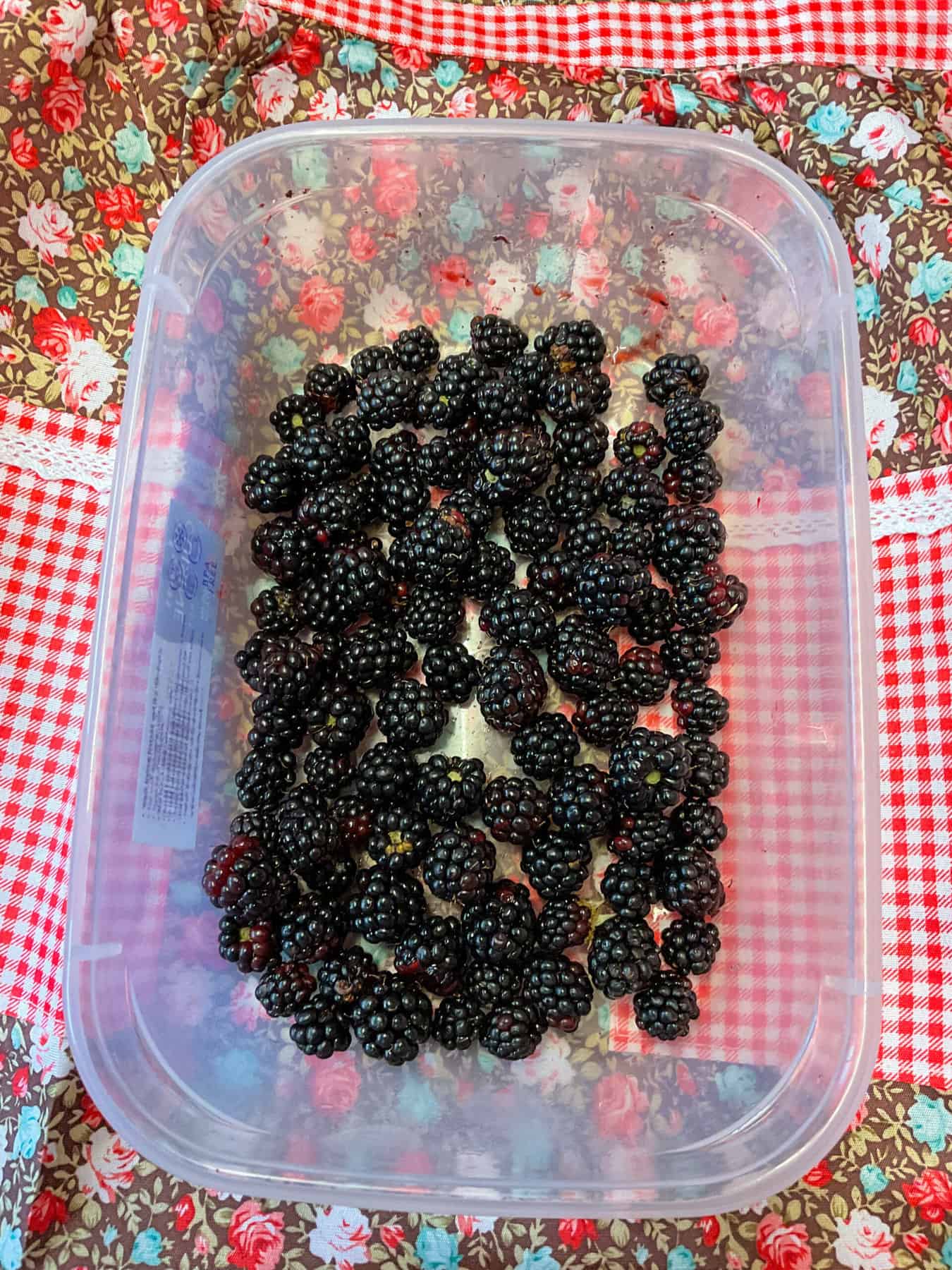 Brambles in plastic tub on top of a red flower patterned apron.