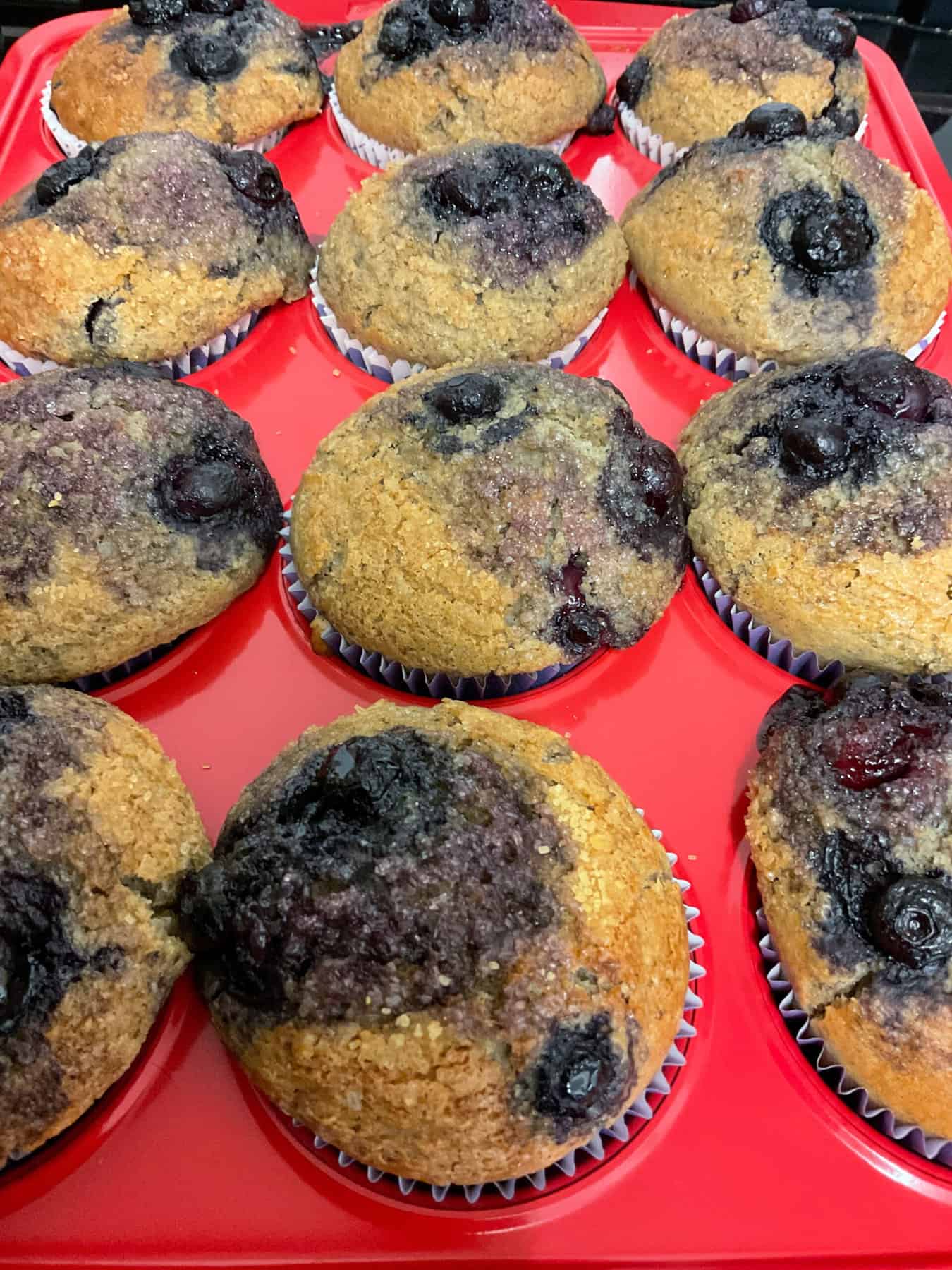 Blueberry muffins variation baked and in muffin pan.