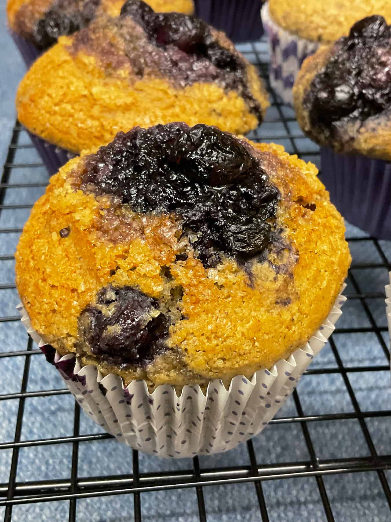 Blueberry muffins variation on cooling rack.