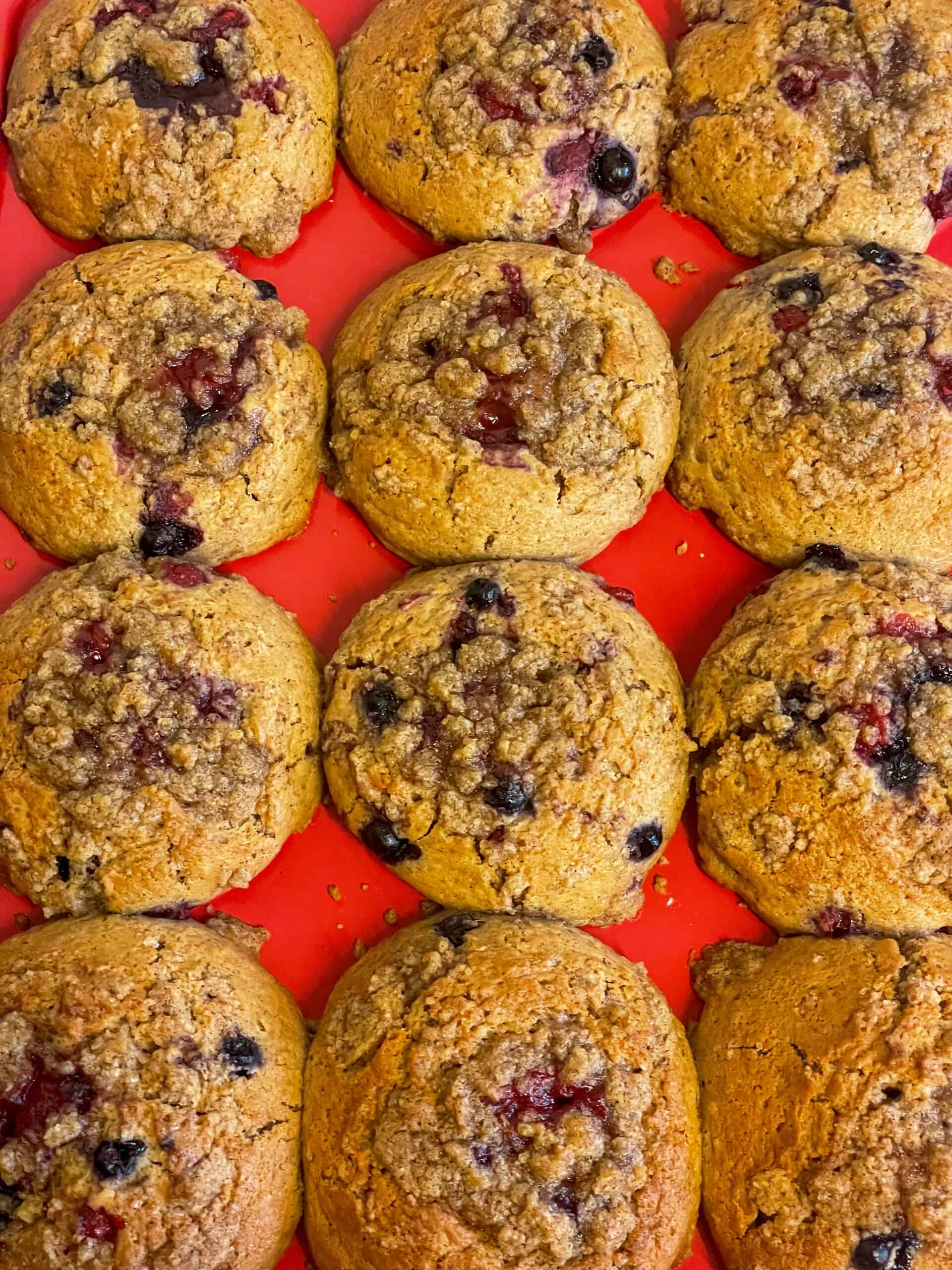 Mixed berry muffins baked and still in muffin tray.