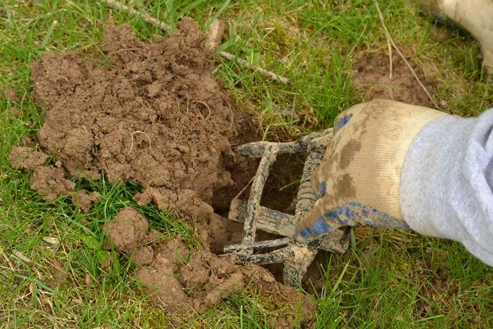 Mole Info. 3 trap
