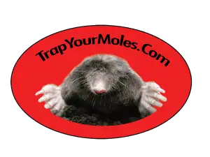 Trap Your Moles
