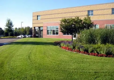 Commercial mole control