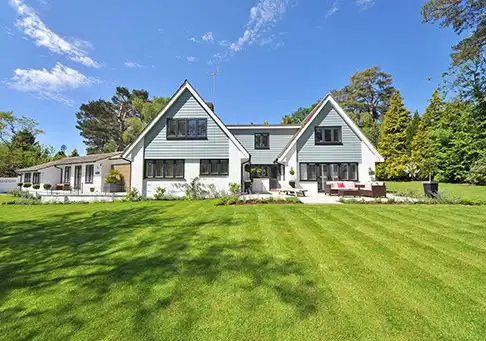 Residential mole control