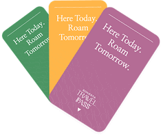 3 colorful Sonesta Travel Pass cards.