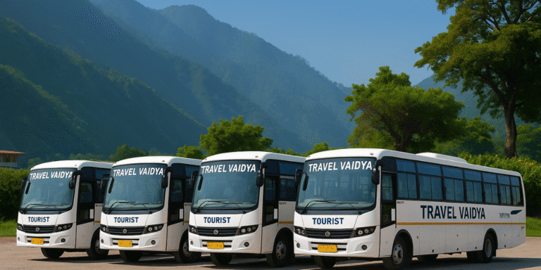 Best Local Tour Operators for Char Dham Yatra