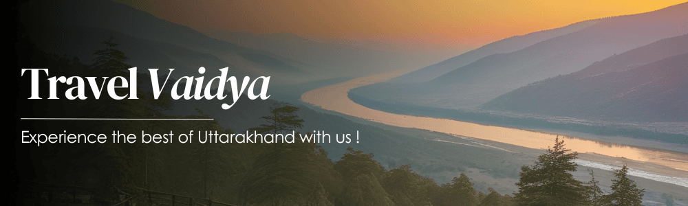 Travel vaidya banner