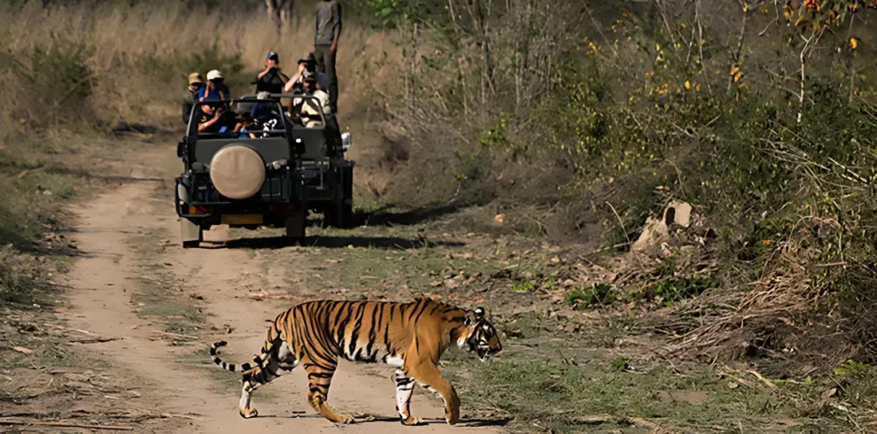 Jim Corbett from Delhi