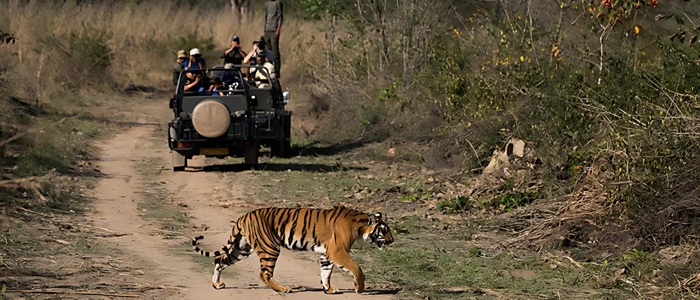 Jim Corbett from Delhi