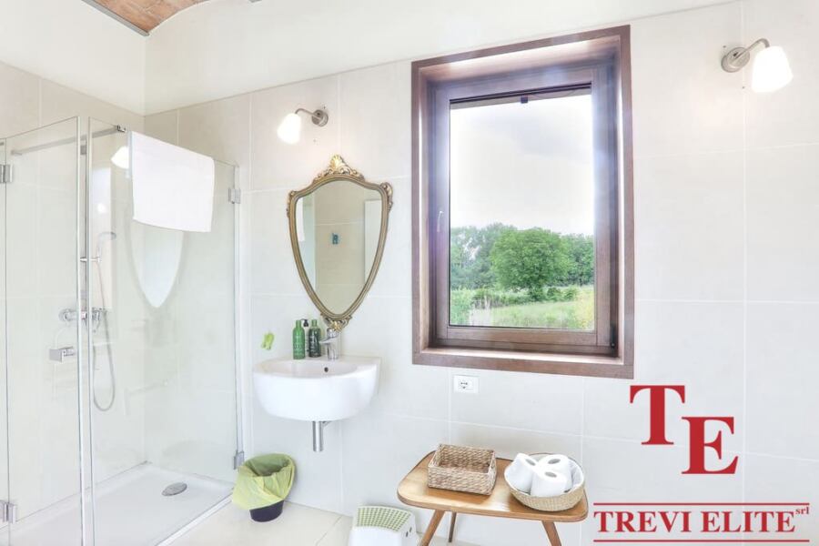 Bright modern bathroom featuring a glass shower enclosure, a white ceramic sink with an ornate mirror, and a view of lush greenery through a large wooden-framed window. Elegant and contemporary design emphasizing natural light.