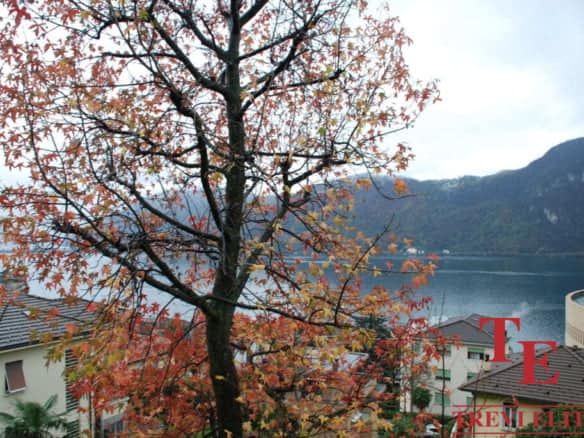 Autumn colours over luxurious Italian residential homes with lake view in the background.