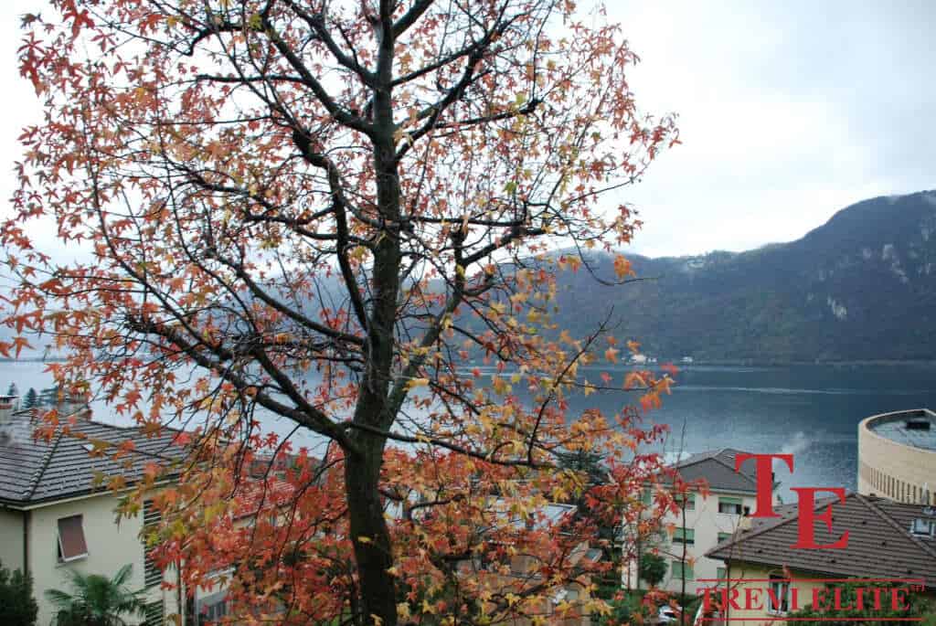 Autumn colours over luxurious Italian residential homes with lake view in the background.