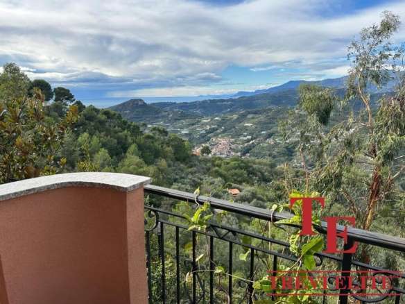 Panoramic view of lush green countryside and distant mountains from a balcony in Italy, over a landscape with rolling hills and a glimpse of the sea in the background.