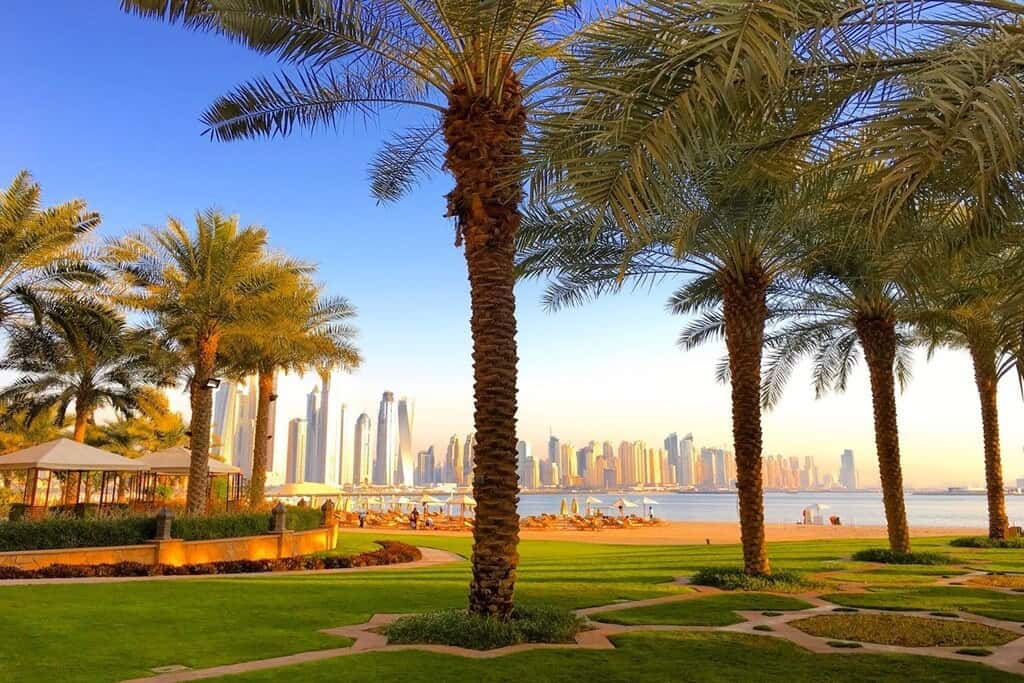 Luxurious waterfront park with tall palm trees, lush green lawns, and modern city skyline in the background, showcasing Dubai's iconic skyline at sunset.