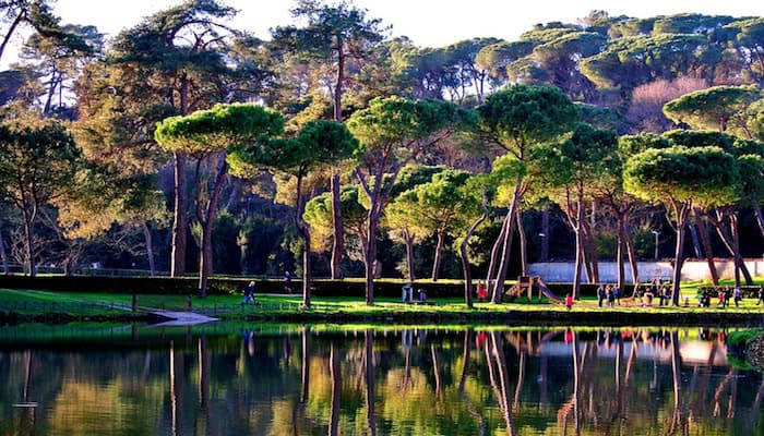 Lush green park with tall pine trees reflected in a tranquil lake, creating a serene and picturesque landscape. Perfect for relaxing and enjoying nature’s beauty in Italy.