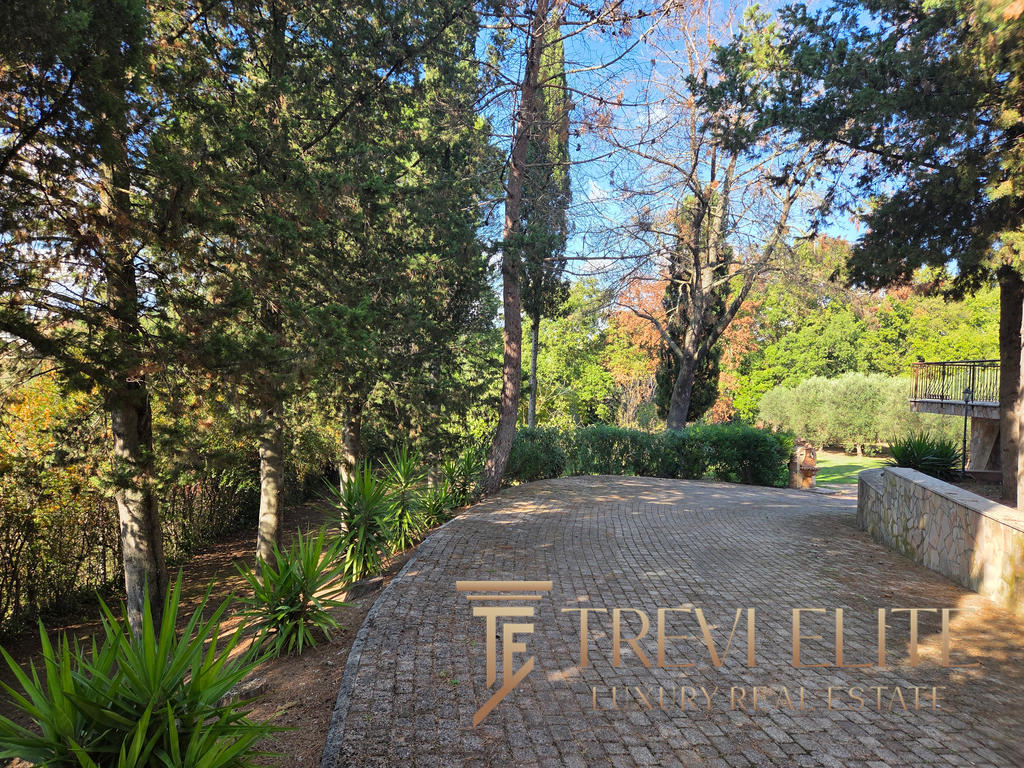 Lush green garden pathway with tall trees and vibrant plants, ideal for a luxurious Italian estate setting.