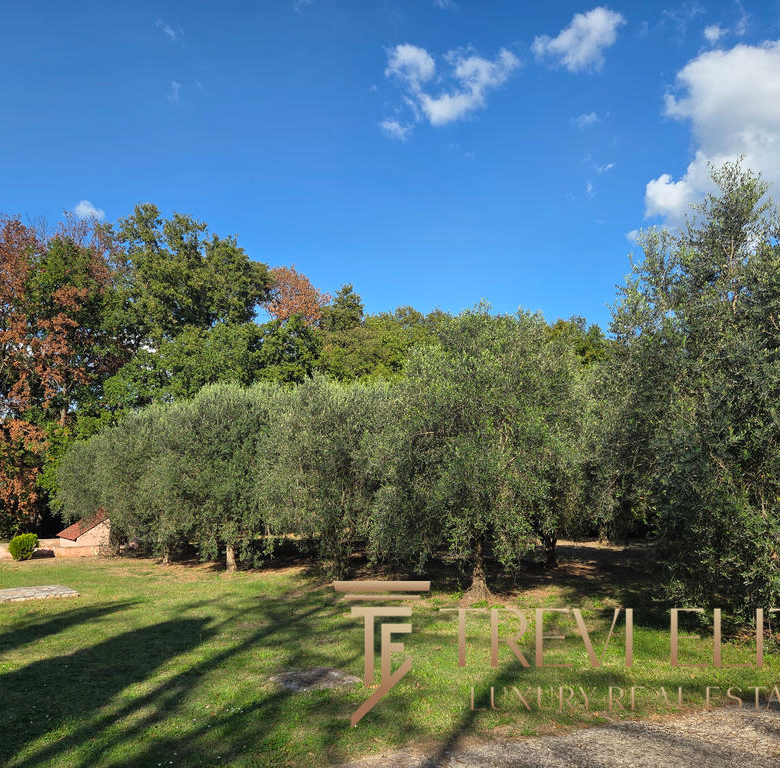 villa fonte nuova 12