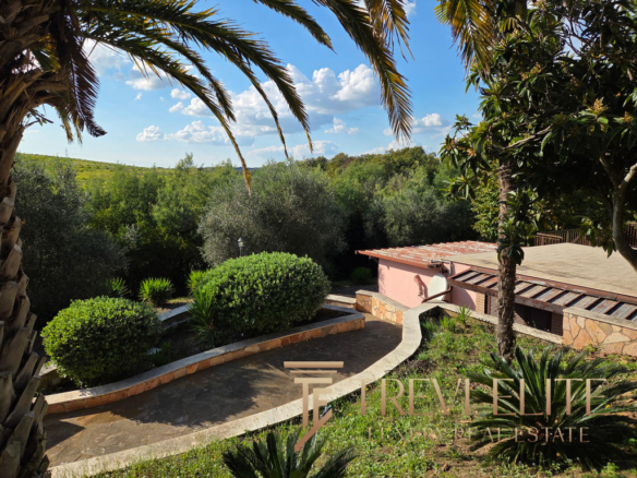 Lush greenery and palm trees surrounding a Mediterranean-style property with a terracotta roof, set against a clear blue sky in an idyllic Italian countryside.
