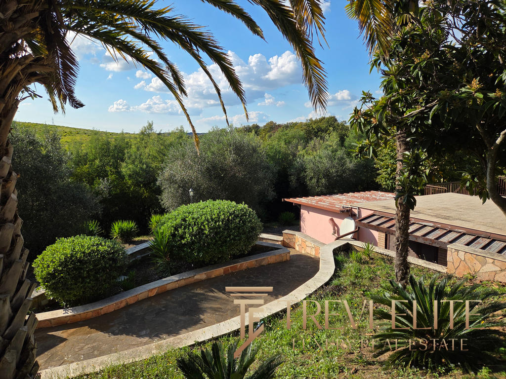 Lush greenery and palm trees surrounding a Mediterranean-style property with a terracotta roof, set against a clear blue sky in an idyllic Italian countryside.