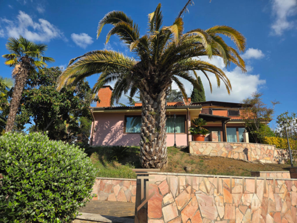 Palm tree in front of a beautiful Italian house with lush greenery, a clear blue sky, and colourful exterior details. Perfectly captures the charm and elegance of Italian real estate.