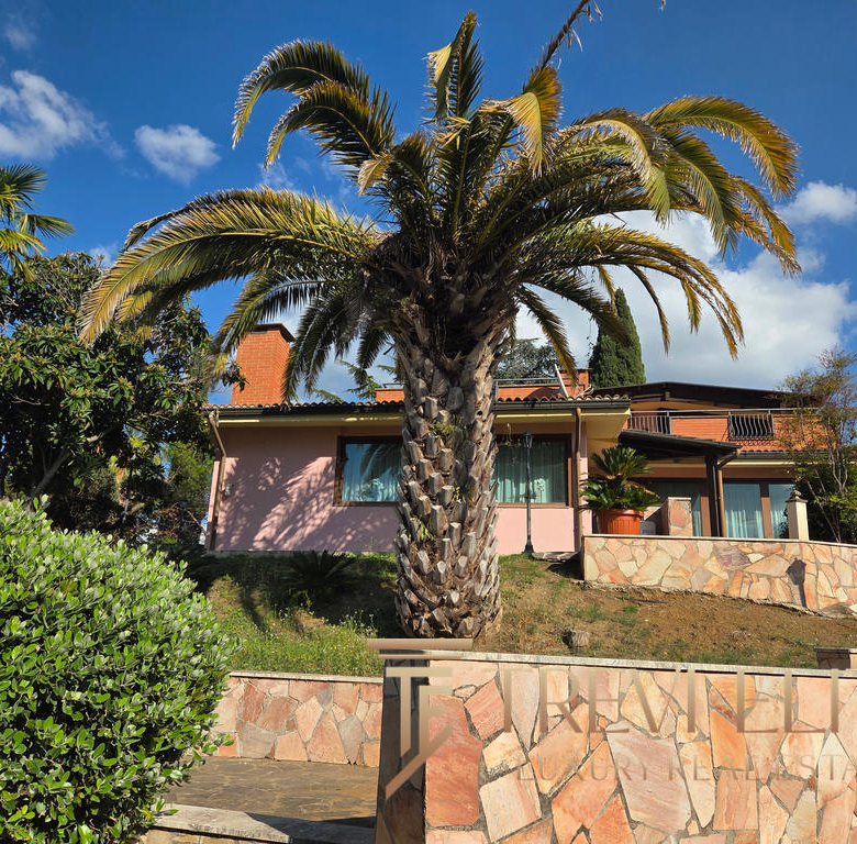 Palm tree in front of a beautiful Italian house with lush greenery, a clear blue sky, and colourful exterior details. Perfectly captures the charm and elegance of Italian real estate.