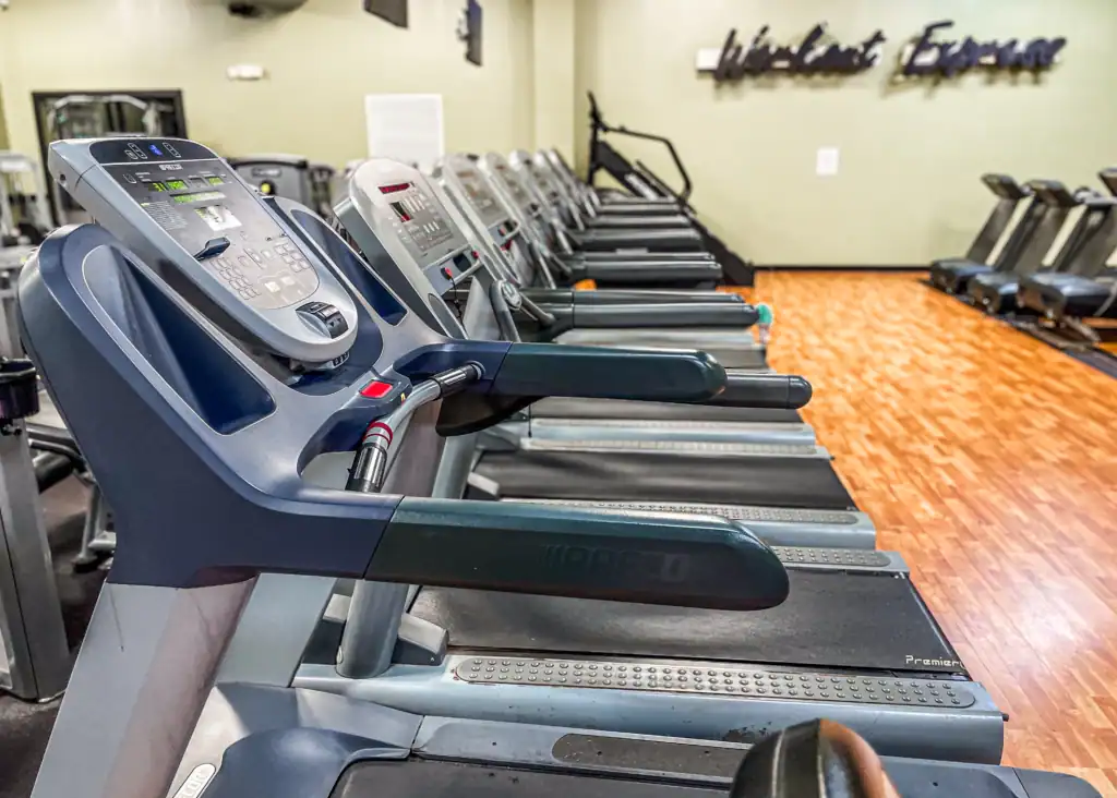Row of treadmills at Triangle Fitness in Welcome and Arcadia, NC.