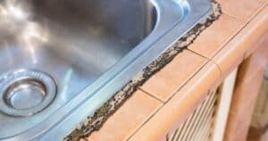 Kitchen Sink With Orange Tile Countertop, Showing Black Mold Along The Edge Of The Sink.