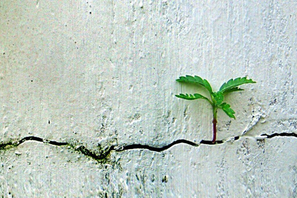 17 Reasons Why Setting Goals is Crucial for Personal Growth