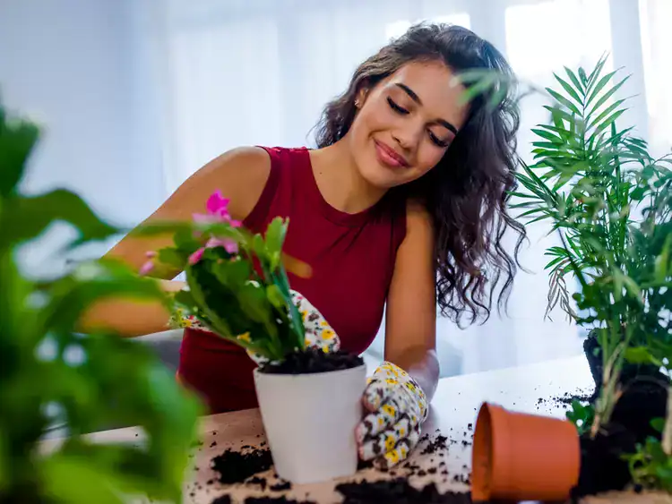 15 Self-Care Practices to Boost Your Emotional Health