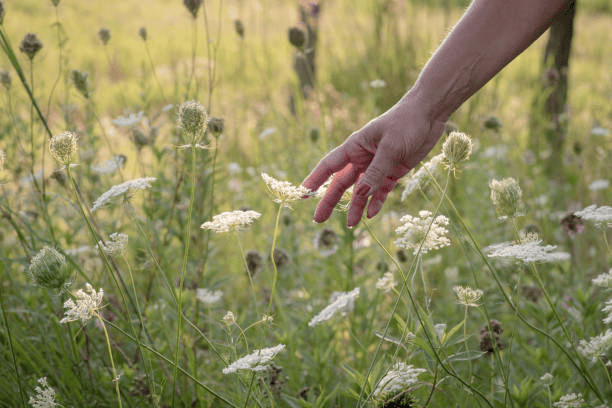 28 Steps to Rebuild Your Life After Emotional Trauma