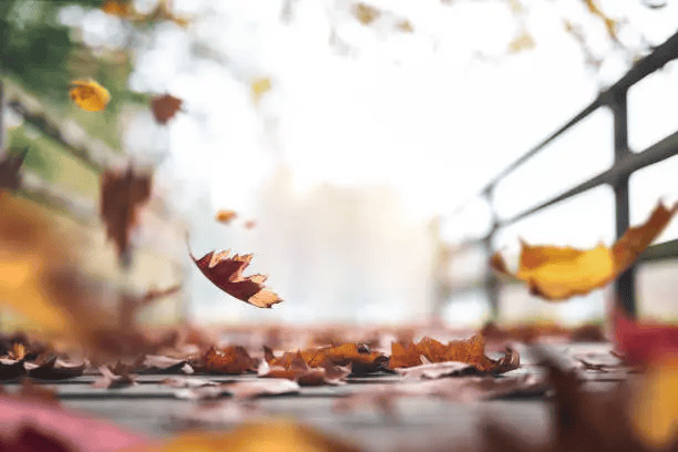 20 Lessons from My Journey to True Love