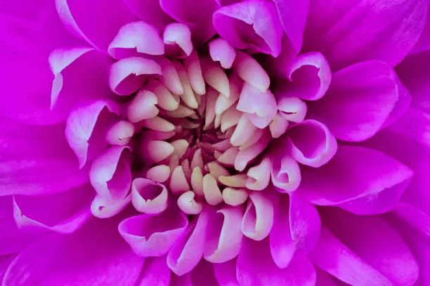 12 Ways Practicing Gratitude Can Help You Heal