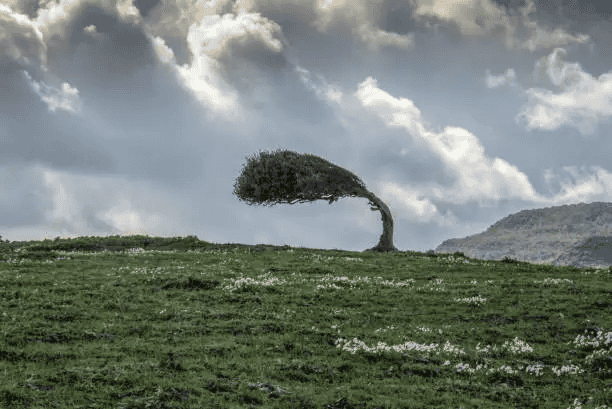 15 Tips for Staying Strong During the Toughest Times in Your Life