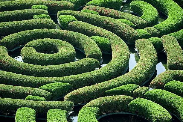 15 Ways to Embrace Vulnerability and Find True Love