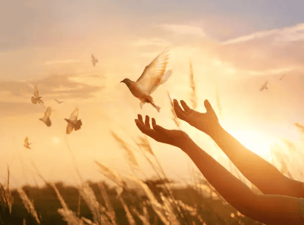 20 Tips for Finding Love After Divorce