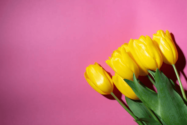 10 Reasons Why Forgiveness is Key to Healing After Heartbreak