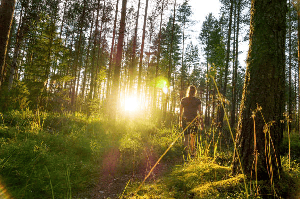 15 Tips for Staying Strong During the Toughest Times in Your Life