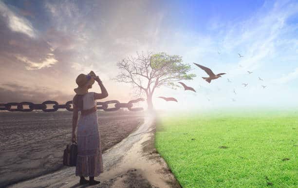 15 Lessons from My Journey to True Love