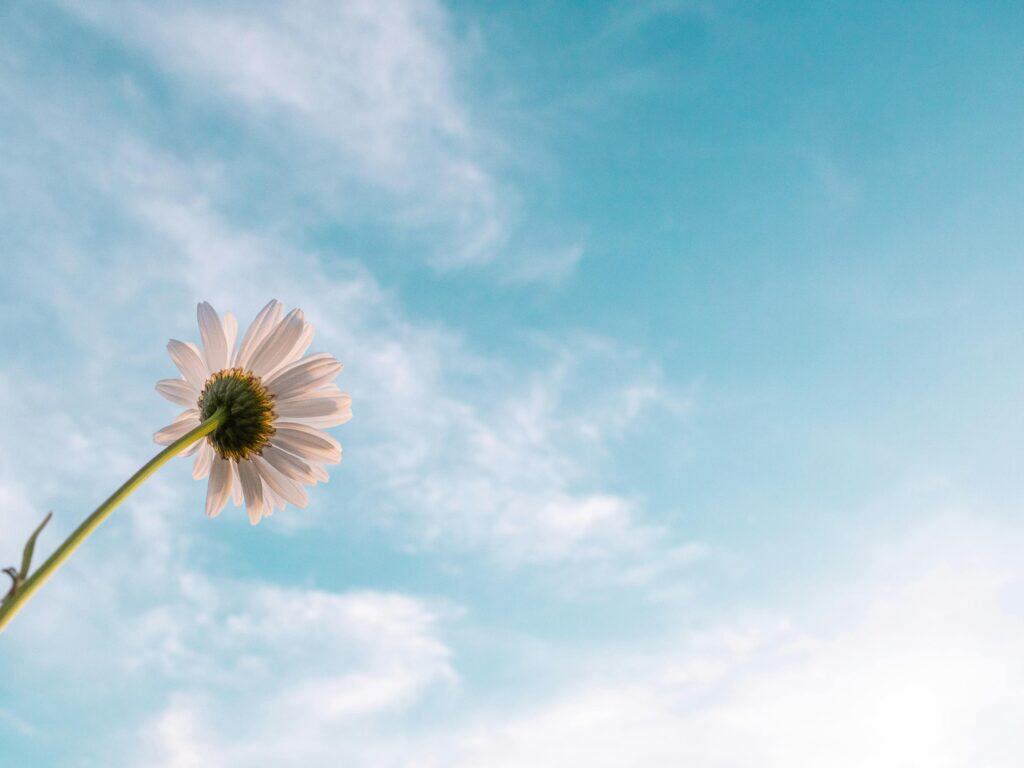 12 Ways Practicing Gratitude Can Help You Heal