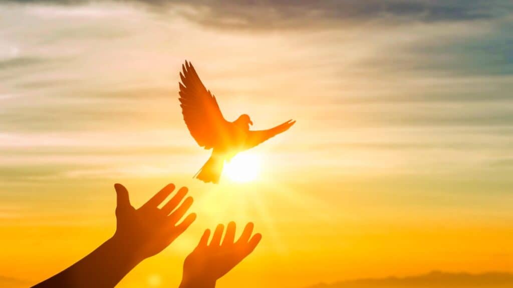 16 Reasons Why Forgiveness is Key to Healing After Heartbreak