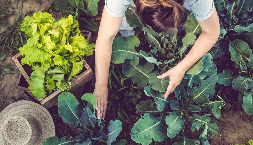 18 Steps to Create a Vision for Your Life Post-Divorce