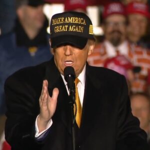 TRUMP BLACK GOLD MAGA HAT