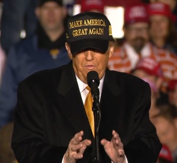 OFFICIAL BLACK AND GOLD MAGA HAT