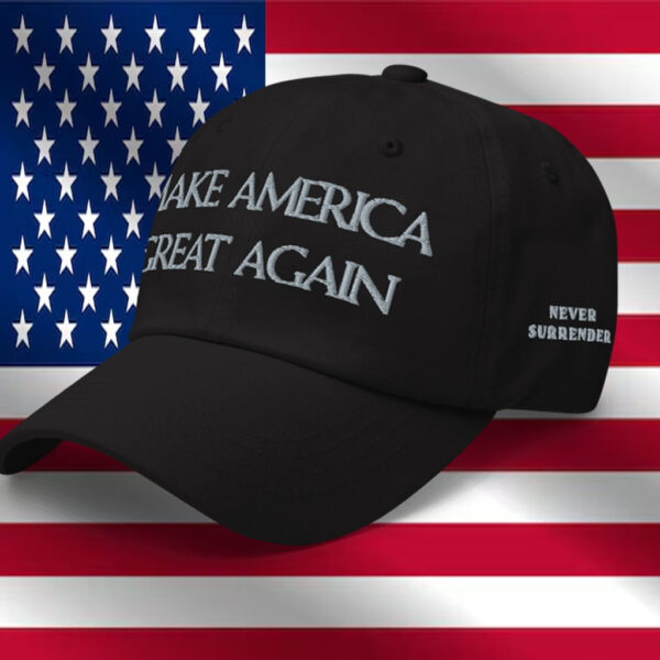 Trump - Elon Musk Dark MAGA Hat