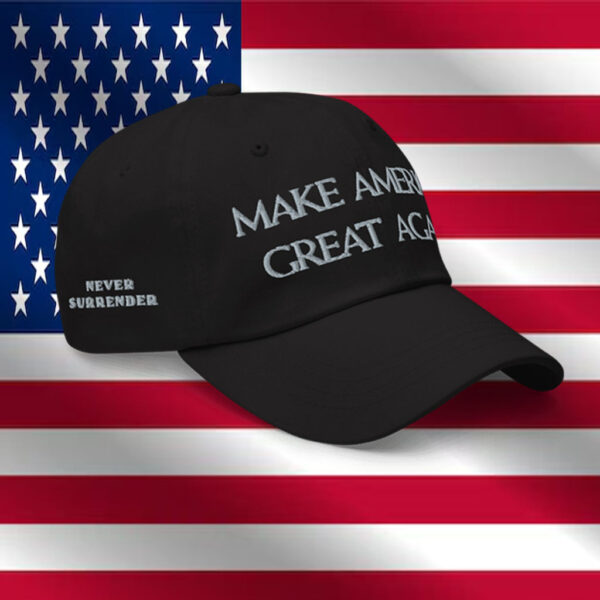 Trump - Elon Musk Dark MAGA Hat