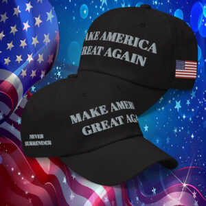 Trump - Elon Musk MAGA Hat
