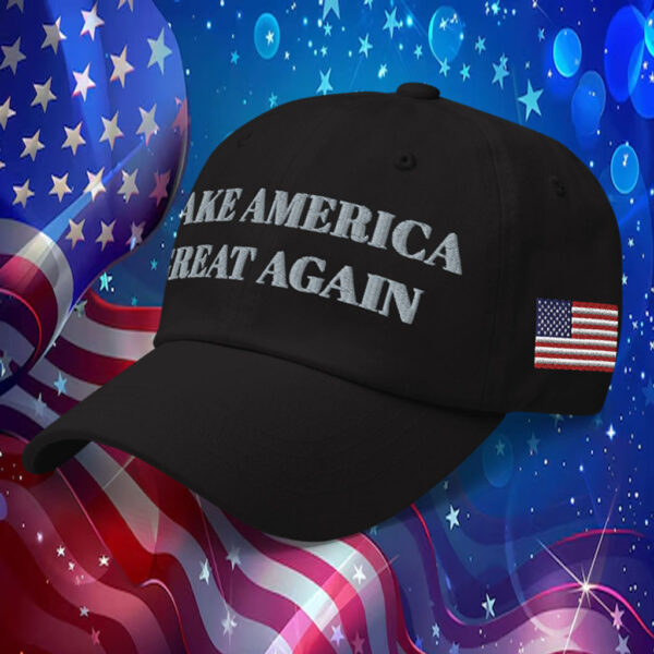 Trump - Elon Musk MAGA Hat