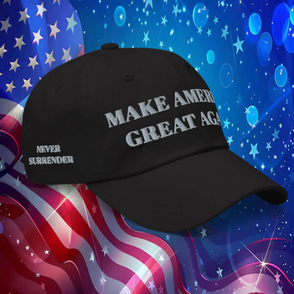 Trump - Elon Musk MAGA Hat